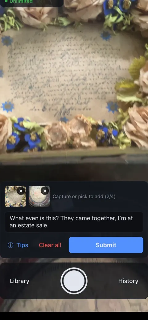 What's It Worth with two photographs loaded and the question, what even is this, they came together, I'm at an estate sale